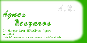 agnes meszaros business card