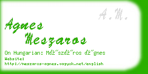 agnes meszaros business card